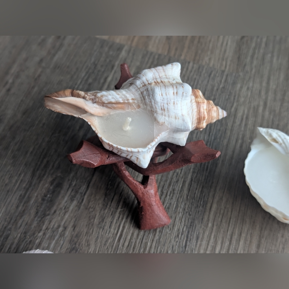 Candles Coastal Shell Set (2), Scallop Shell, Sea Urchins & Wooden Stand - Picture 4 of 7